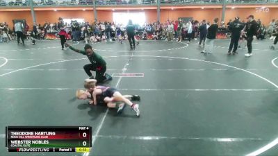 45 lbs Cons. Round 4 - Webster Nobles, Coastal Elite vs Theodore Hartung, Rock Hill Wrestling Club