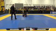Christina Leigh Howell vs Kirsten Allison Wender 2025 World IBJJF Jiu-Jitsu No-Gi Championship