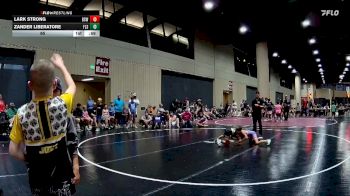 65 lbs Round 5 (6 Team) - Lark Strong, BS Wrestling vs Zander Liberatore, Florida Scorpions