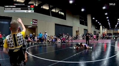 65 lbs Round 5 (6 Team) - Lark Strong, BS Wrestling vs Zander Liberatore, Florida Scorpions