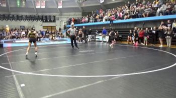 100 lbs Quarterfinal - Mazy Druschel, Vinton-Shellsburg vs Layla Price, BCLUW-SH