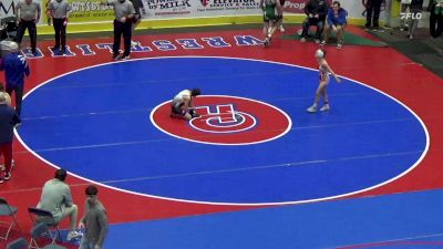 89 lbs Semifinal - Aleeya Dreshman, Canon McMillan vs Lilly Kline, Conneaut