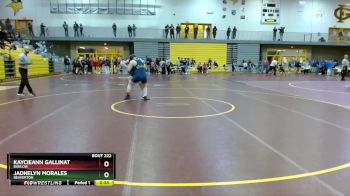 190 lbs Cons. Round 2 - Jadhelyn Morales, Beaverton vs Kaycieann Gallinat, Barlow