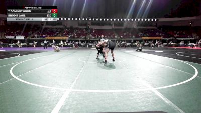235 lbs Round Of 16 - Dominic Wood, Albany vs Brodie Lane, Wayne State College