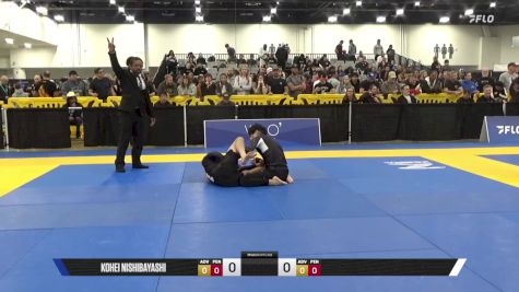 Andre Luiz Cecilio Roriz Pontes vs Kohei Nishibayashi 2025 World IBJJF Jiu-Jitsu No-Gi Championship