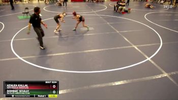 97 lbs Quarterfinal - Azalea Kallal, New Prague Wrestling vs Dominic Scully, MN Elite Wrestling Club