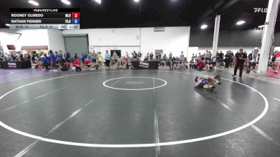 110 lbs Rooney Olmedo, Michigan Blue vs Nathan Fenner, Pennsylvania Blue