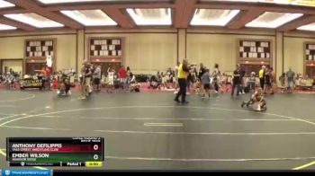 50 lbs Cons. Round 3 - Anthony DeFilippis, Yale Street Wrestling Club vs Ember Wilson, Warrior Ridge