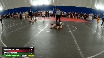 72 lbs Round 4 (6 Team) - Cameron Luker, Buxton vs Breccan Kellogg, Pursuit WC