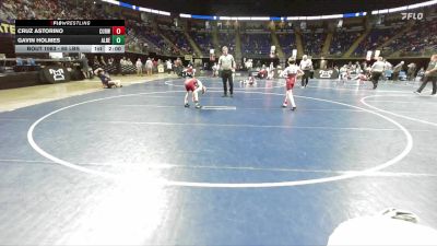 65 lbs Round Of 32 - Cruz Astorino, Curwensville vs Gavin Holmes, Albert Gallatin