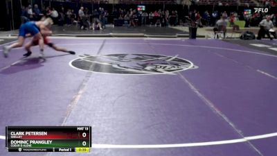 138 lbs Cons. Round 2 - Dominic Prangley, Coeur D Alene vs Clark Petersen, Shelley