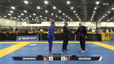 David Anderson vs John William Dill 2025 World Master IBJJF Jiu-Jitsu Championship