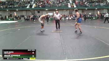 149 lbs Champ. Round 2 - Brodie Dominique, Michigan State vs Nate Roth, Kent State