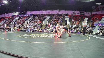 138 lbs Semifinals (8 Team) - Cayden Banko, Huron HS (New Boston) vs Caleb Cyman, Fowlerville HS