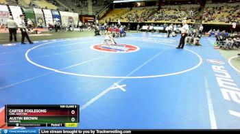 106 Class 3 lbs Quarterfinal - Carter Foglesong, Carl Junction vs Austin Brown, Hannibal
