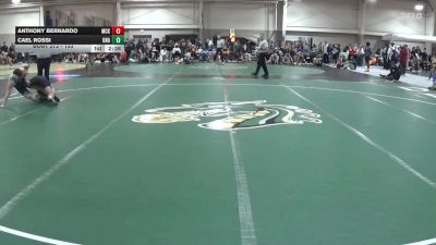 133 lbs Champ. Round 2 - Anthony Bernardo, McKendree vs Cael Rossi, Unattached