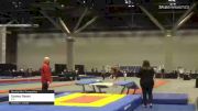 Sydney Rosen - Double Mini Trampoline, ETA - 2021 USA Gymnastics Championships