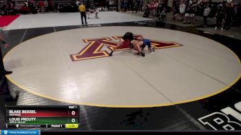 113 lbs Quarterfinal - Blake Beissel, Hastings vs Louis Prouty, Apple Valley