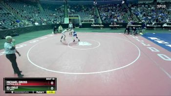 113 lbs Champ. Round 1 - Eli Ogle, Tri West vs Michael Gross, Switzerland Co