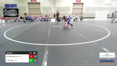 97 lbs Rr Rnd 1 - Mack Mesenbrink, Askren Wrestling Academy - (C) vs Carson Bruber, MWC Wrestling Academy