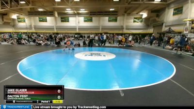 113 lbs Quarterfinal - Jake Glaser, Dickinson Wrestling Club vs Dalton Feist, Napoleon Royal Force