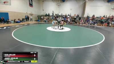 113 lbs Cons. Semi - Jared Aguilar, Thunder Ridge vs Tate Zeller, Saratoga