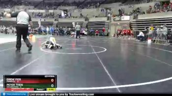 55 lbs Semis (4 Team) - Peter Theis, Holdingford vs Drew Fier, Minneota