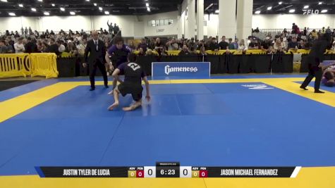 Jason Michael Fernandez vs Justin Tyler De Lucia 2025 World IBJJF Jiu-Jitsu No-Gi Championship