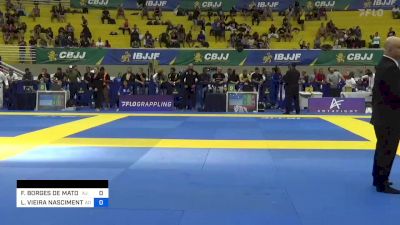 FERNANDO BORGES DE MATOS vs LEANDRO VIEIRA NASCIMENTO RAPOSO 2023 Brasileiro Jiu-Jitsu IBJJF