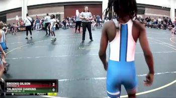 70 lbs Round 2 (6 Team) - Aviyahn Mills, Roundtree WA vs Elijah Hill, Ohio Gold