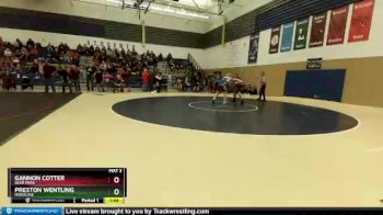 285 lbs Quarterfinal - Preston Wentling, Ridgeline vs Gannon Cotter, Deer Park