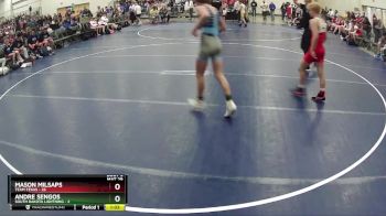 117 lbs Quarterfinals (8 Team) - Mason Milsaps, Team Texas vs Andre Sengos, South Dakota Lightning