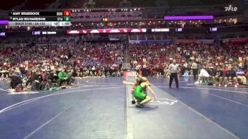 3A-132 lbs Champ. Round 2 - Rylan Richardson, Storm Lake vs Ajay Braddock, Boone