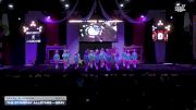 The Stingray Allstars - Gray [2025 L2 Junior Day 1] 2025 ASC Battle Under the Big Top Grand Nationals