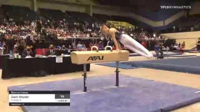 Zach Snyder - Pommel Horse, Emerge IA - 2021 USA Gymnastics Development Program National Championships