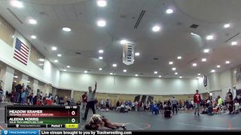 90 lbs Semifinal - Aleena Morris, Solid Tech Wrestling Club vs Meadow Kramer, Tecumseh Braves Youth Wrestling