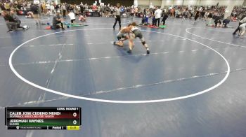 120 lbs Cons. Round 1 - Caleb Jose Cedeno Mendoza, Silverback Wrestling Fort Worth vs Jeremiah Haynes, Illinois