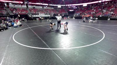 114 lbs Champ. Rd Of 16 - Taylor Whiting, Lena vs Tatum James, Mineral Point