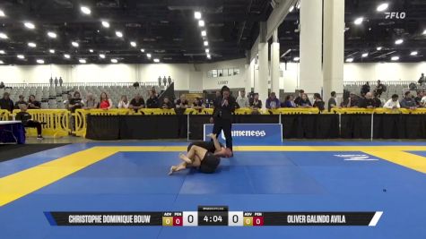 Oliver Galindo Avila vs Christophe Dominique Bouw 2025 World IBJJF Jiu-Jitsu No-Gi Championship