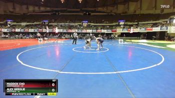 157 lbs Finals (2 Team) - Maddox Cho, Independence vs Alex Berglie, Westfield