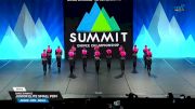 Dance Dynamics - Junior Elite Small Pom [2025 Junior - Pom - Small Semis] 2025 The Dance Summit