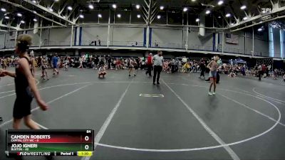 84 lbs Round 4 (6 Team) - Jojo Igneri, Buxton vs Camden Roberts, Capital City WC