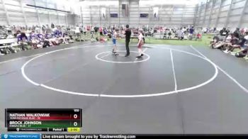 100 lbs 2nd Wrestleback (8 Team) - Nathan Walkowiak, Team Michigan Blue vs Brock Johnson, Kansas Blue