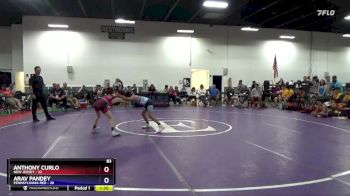 83 lbs 4th Wrestleback (16 Team) - Anthony Curlo, New Jersey vs Arav Pandey, Pennsylvania Red