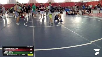 120-121 lbs Round 3 - Hudson Schultz, Wadena-Deer Creek vs Udey Kohli, Oswego East