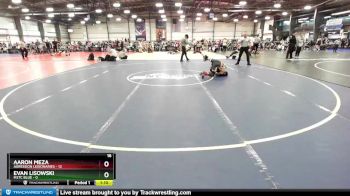 84 lbs Rd# 9- 2:15pm Saturday Final Pool - Aaron Meza, Agression Legionaries vs Evan Lisowski, M2TC Blue