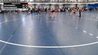 Elite 165 lbs Cons. Round 3 - Jack Pickersgill, Cortland State vs Colton Bornholdt, St. Cloud State