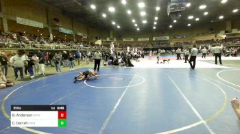 95 lbs Consi Of 8 #2 - Breadyn Anderson, Western Colorado WC vs Caden Darrah, Pueblo West Storm