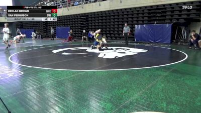 125 lbs Consi-qtrs - Declan Brown, Lackawaxen vs Van Ferguson, Spring Grove