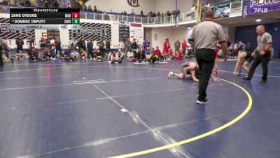 127 lbs Consy 8 - Zane Crouse, Bishop McDevitt vs Dominic Deputy, Chestnut Ridge